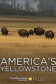 America's Yellowstone poster