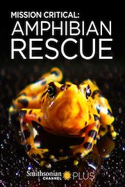 Mission Critical: Amphibian Rescue