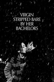 Virgin Stripped Bare by Her Bachelors poster