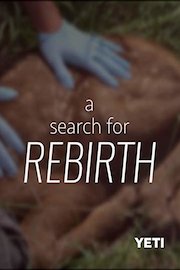 A Search for Rebirth