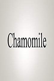 How To Pronounce Chamomile poster
