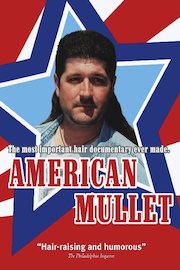 American Mullet poster