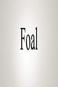 How To Pronounce Foal