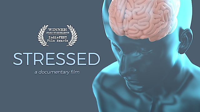 Watch Stressed Online