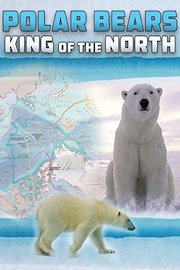 Polar Bears - King of the North