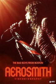 Aerosmith: Videobiography