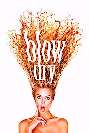 Blow Dry poster