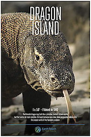 Dragon Island poster