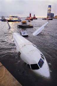 Bird vs. Plane: Miracle on the Hudson