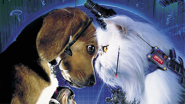 Watch Cats & Dogs Online