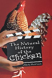 Chicken poster