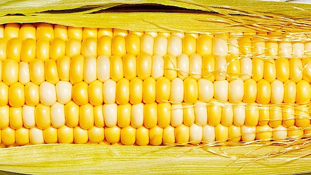 Watch Cornman: American Vegetable Hero Online