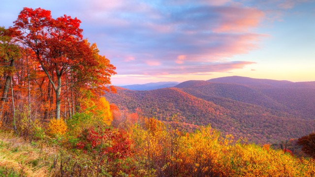 Watch Living Landscapes HD Fall in New England Online