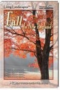 Living Landscapes HD Fall in New England ( Standard Definiton Version)