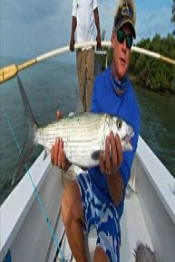 Addictive Fishing Television - Bits & Bites