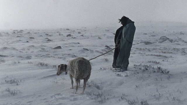 Watch For the Lost Online