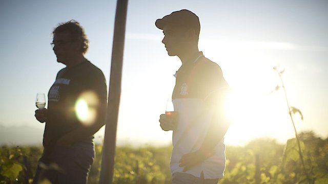 Watch Wine Calling Online