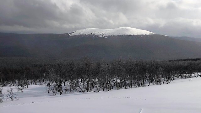 Watch The Dyatlov Pass Incident Online