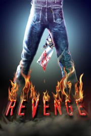 Revenge poster