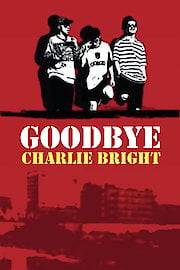 Goodbye Charlie Bright poster