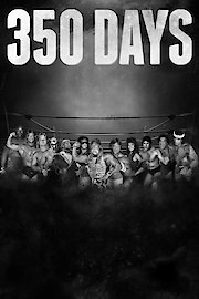 350 Days poster