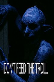 Don't Feed The Troll poster