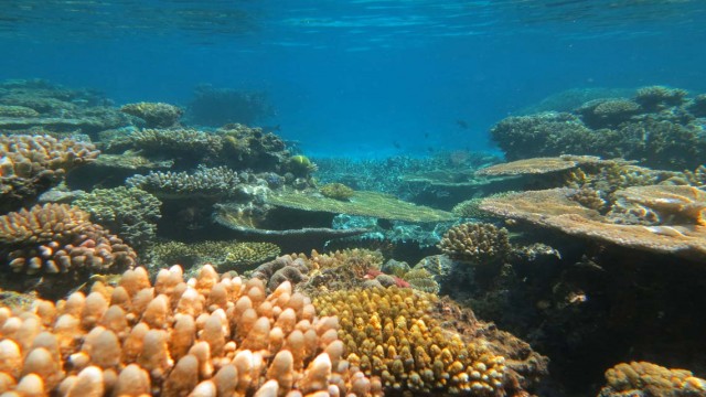 Watch Globe Trekker - Queensland and the Great Barrier Reef Online
