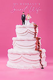 MY HUSBAND'S SECRET WIFE poster