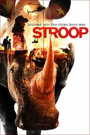 Stroop