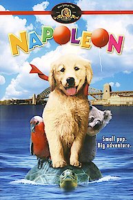 Napoleon (Telugu)