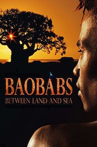 Baobabs: Between Land and Sea