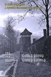 In Spite of Darkness. A Spiritual Encounter with Auschwitz