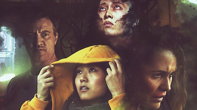 Watch Stray Online