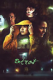 Stray