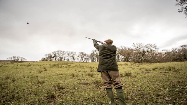 Watch The Game Shoot: Driven Pheasant on an English Estate Online