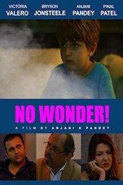 No Wonder! poster