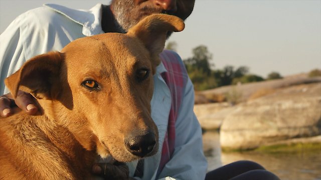 Watch Man's First Friend Online