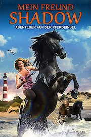 Penny's Shadow poster