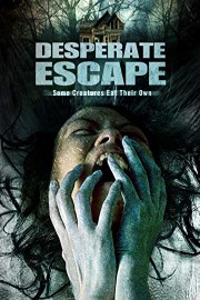Desperate Escape poster