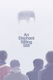 An Elephant Sitting Still poster