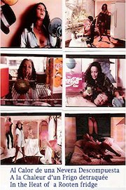 Al Calor de una nevera Descompuesta/In the Heat of a broken Fridge