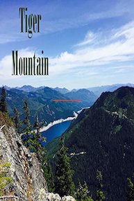Single Metadata Multiple Assets
