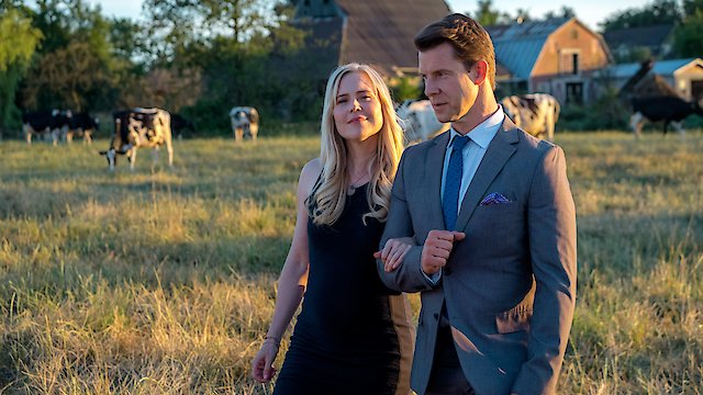 Watch Signed, Sealed, Delivered: Home Again Online