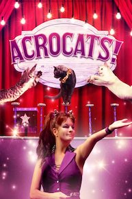 Acrocats!