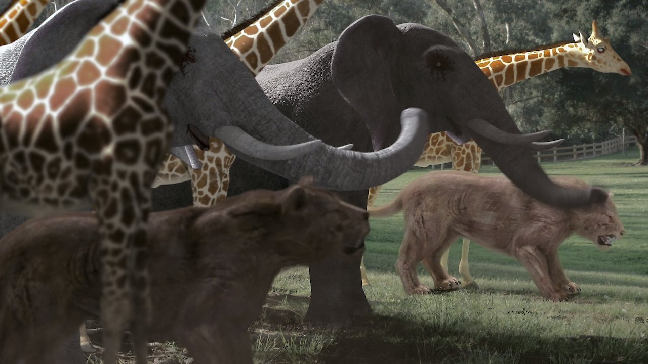Watch Zoombies 2 Online