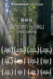 Shinrin-Yoku (forest bathing)