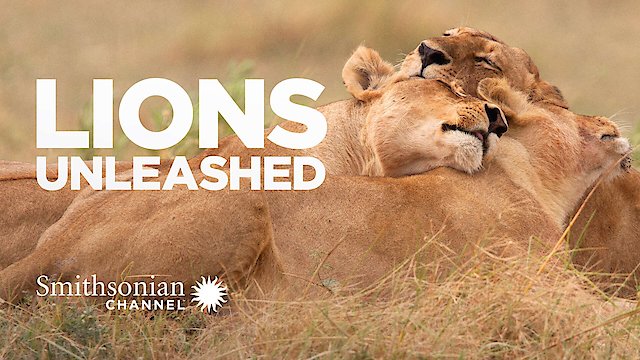 Watch Lions Unleashed Online