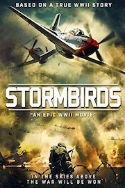 Stormbirds