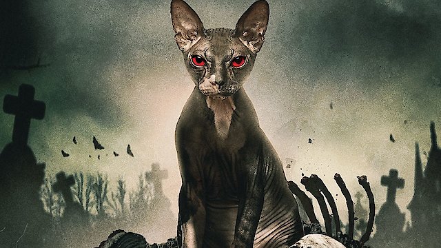 Watch Pet Graveyard Online