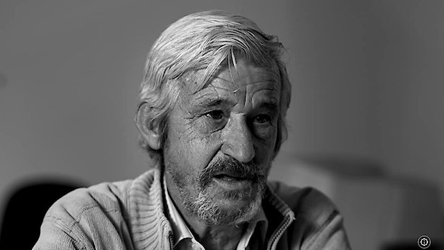 Watch Figures Online